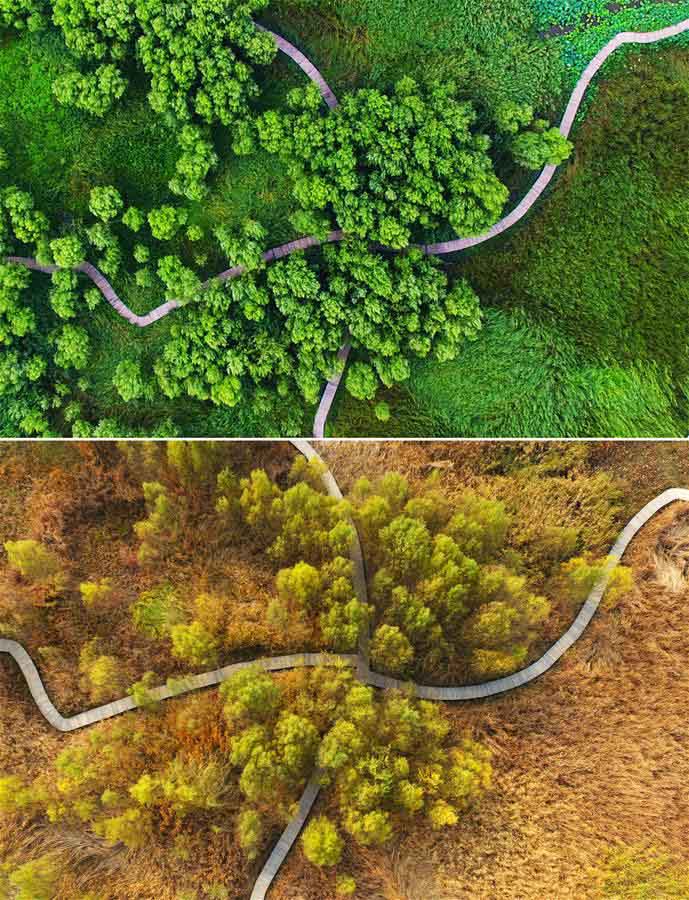 Paisgens de ver?o e inverno do Canal de Tai'erzhuang na província de Shandong