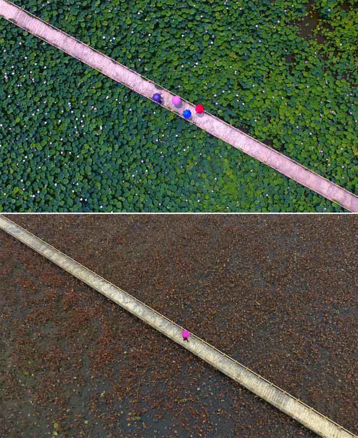 Paisgens de ver?o e inverno do Canal de Tai'erzhuang na província de Shandong