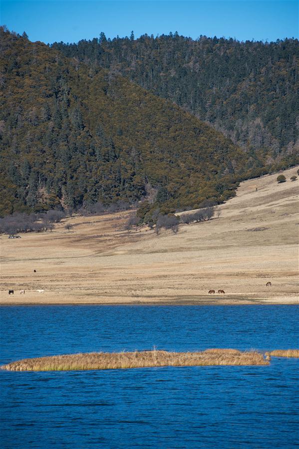 Paisagem de início de inverno em Shangri-La