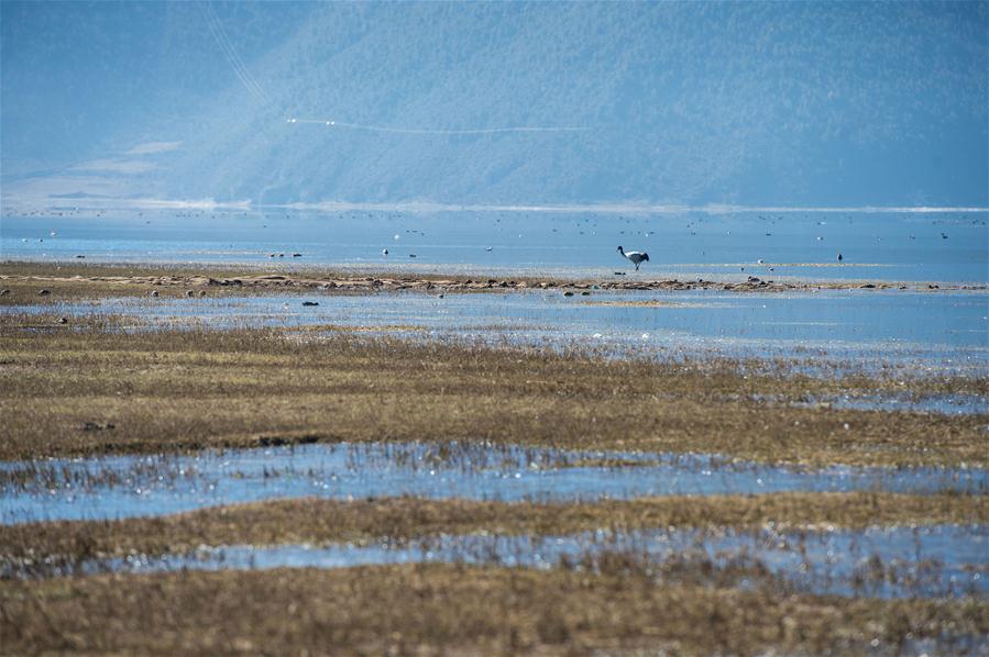 Paisagem de início de inverno em Shangri-La