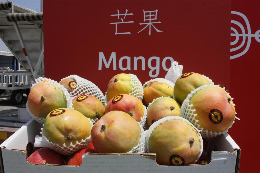 Avi?o cargueiro come?a a transportar produtos peruanos para China