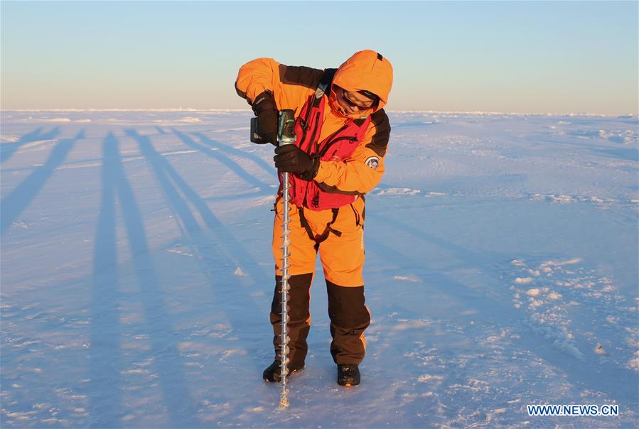 Navio de pesquisa Xuelong na 33a expedi??o antártica