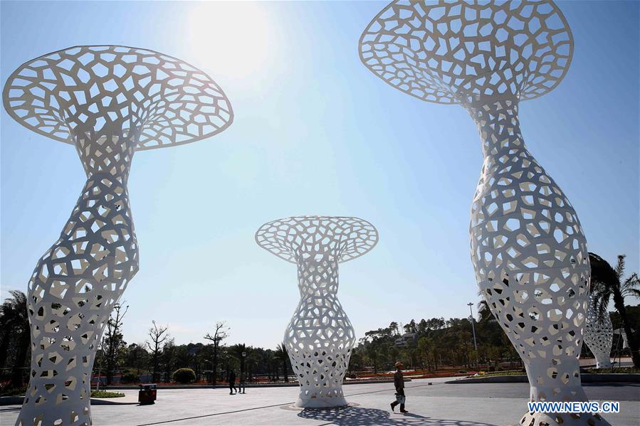 Qinzhou realiza 9a Expo de Jardinagem e Horticultura de Guangxi