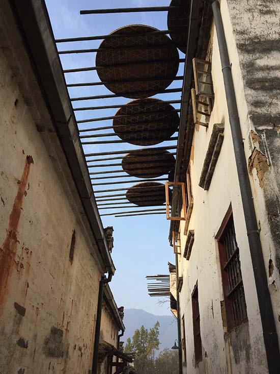 Wuyuan, um po?o de beleza idílica no cora??o da província de Jiangxi