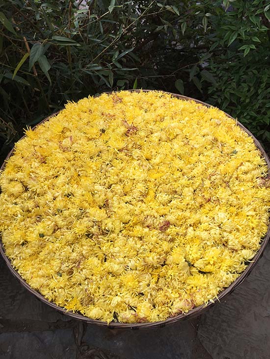 Wuyuan, um po?o de beleza idílica no cora??o da província de Jiangxi