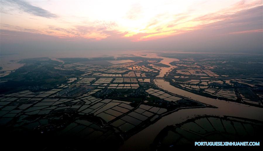 Viveiros de camar?o ao longo do rio Qinjiang no sul da China