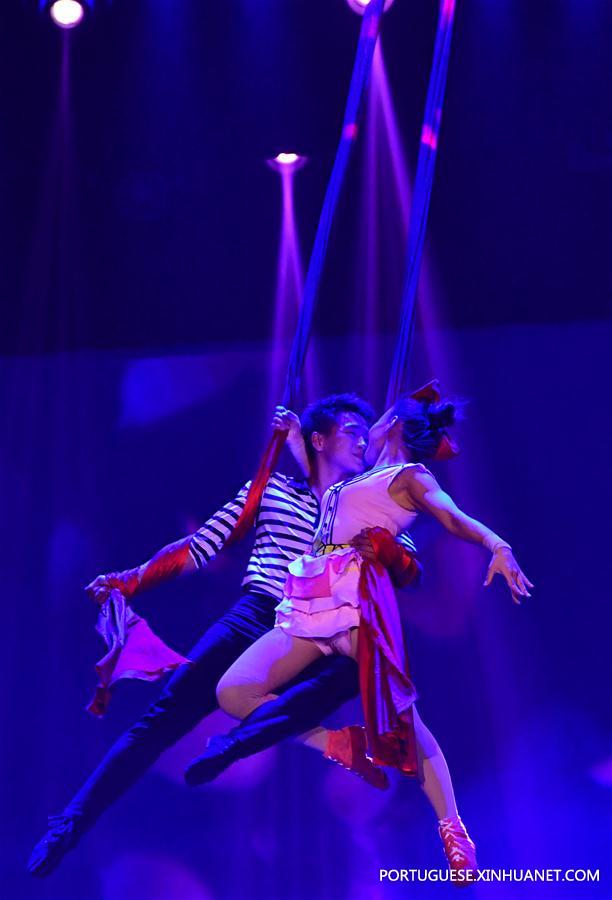 Luoyang realiza 3o Festival de Arte Acrobática da China