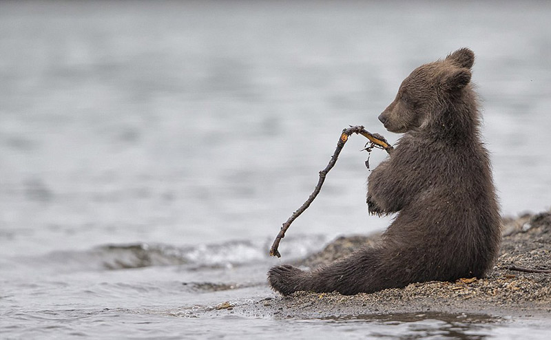 Fotógrafo português vence concurso internacional de fotos de viagem