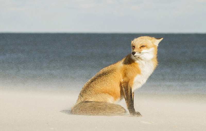 Fotógrafo português vence concurso internacional de fotos de viagem
