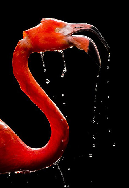 Fotógrafo português vence concurso internacional de fotos de viagem