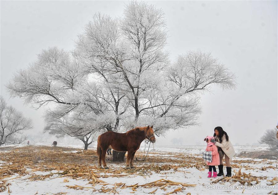 Paisagem de sincelo em Jilin no nordeste da China