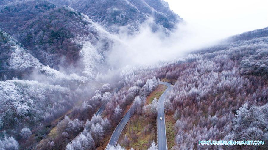 Floresta coberta de neve na regi?o de Shennongjia em Hubei