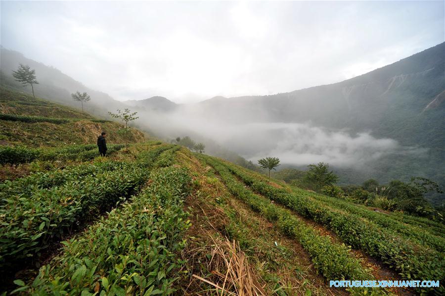 Paisagem de inverno na regi?o sudeste do Tibete