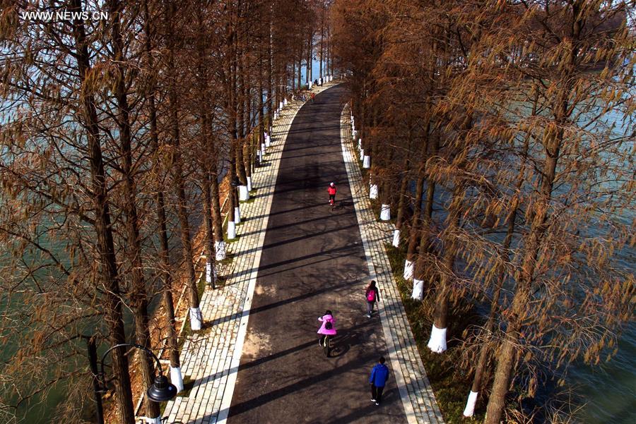 Caminhos verdes atravessam o Lago Donghu no centro da China