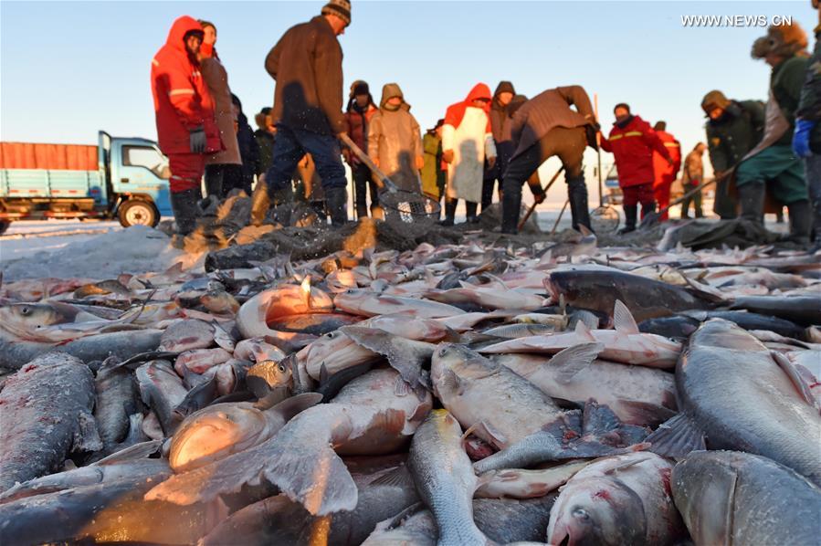 época de pesca de inverno iniciada com celebra??es no nordeste da China