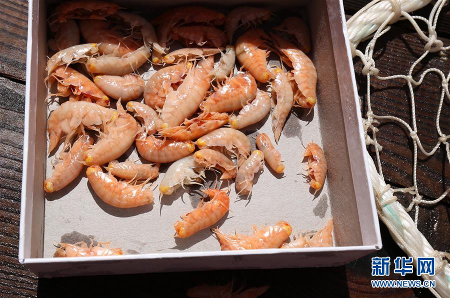 Submarinos chineses n?o tripulados descem a 10 mil metros