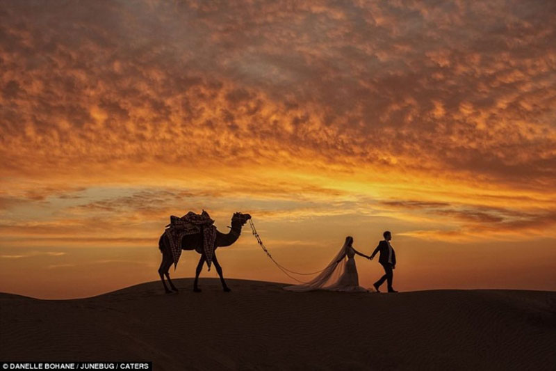 As melhores fotos de casamento do mundo em 2016