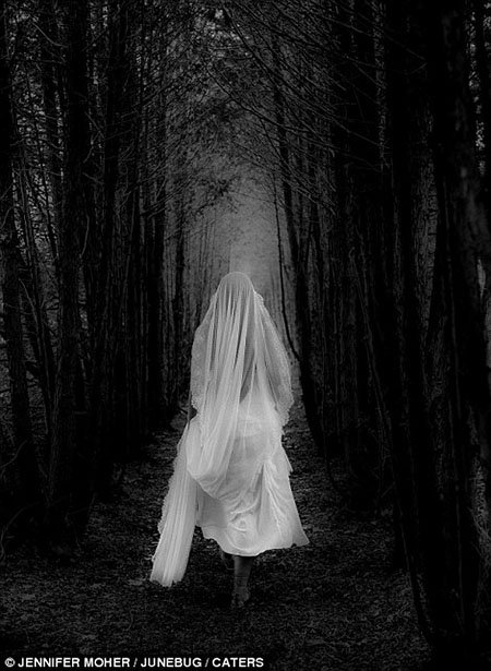 As melhores fotos de casamento do mundo em 2016