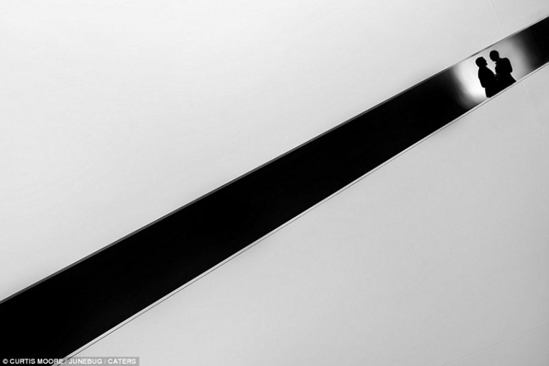 As melhores fotos de casamento do mundo em 2016