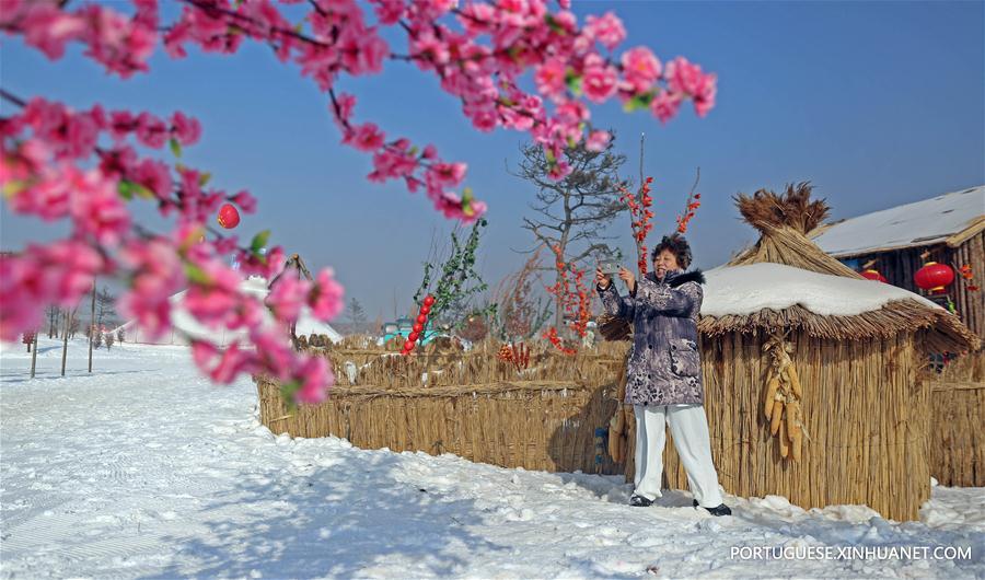 Jinzhou inaugura Festival Internacional de Gelo, Neve e Fontes Termais