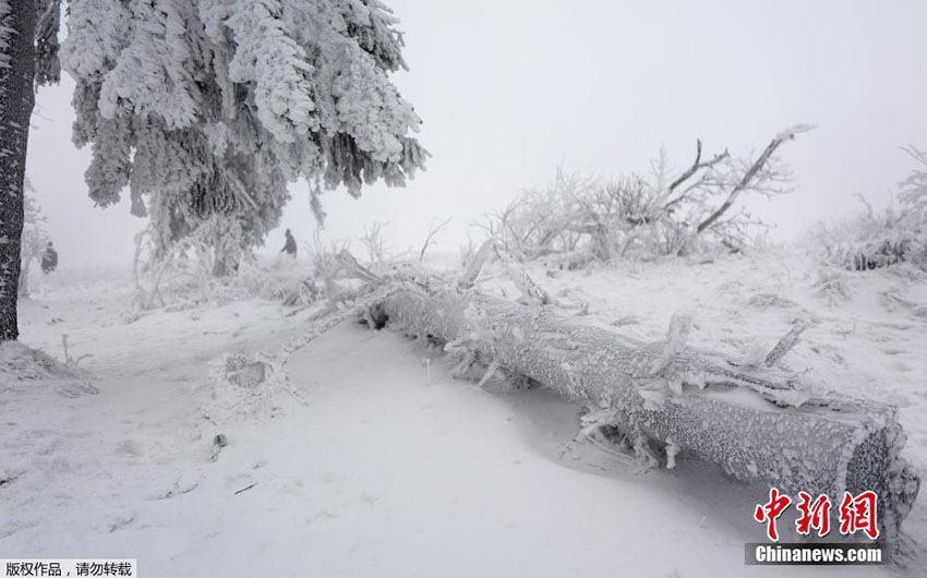 Vaga de frio atinge Europa e América do Norte