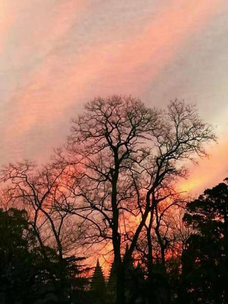 Sol volta a despontar em Beijing após período de polui??o intensa