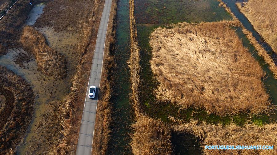 Cenário da zona úmida em um parque na província de Shandong