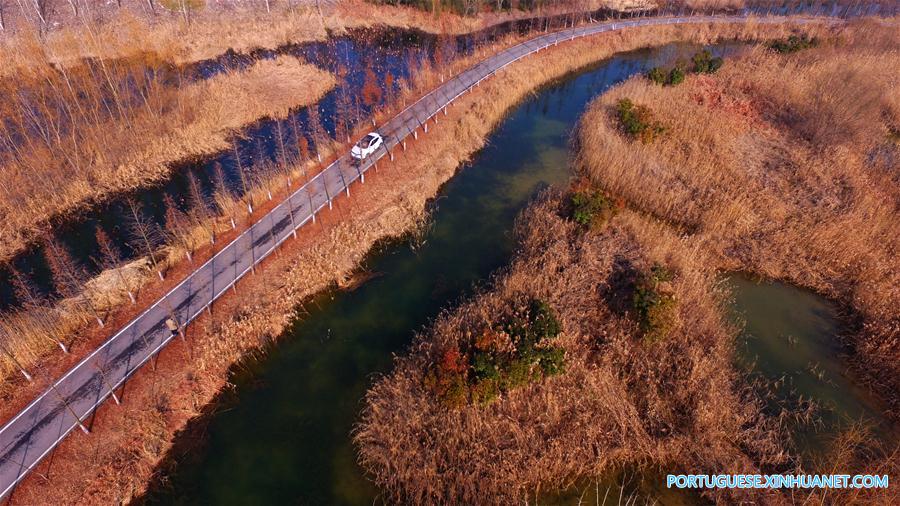 Cenário da zona úmida em um parque na província de Shandong