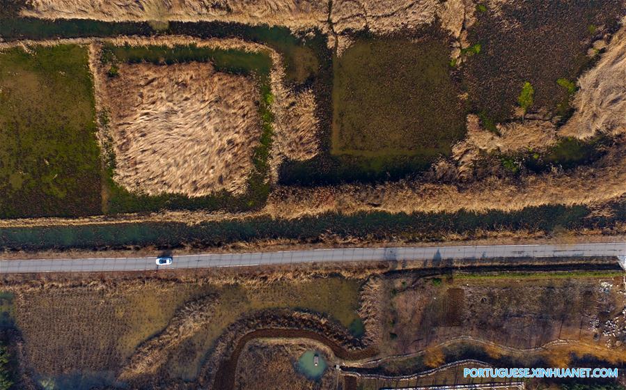 Cenário da zona úmida em um parque na província de Shandong