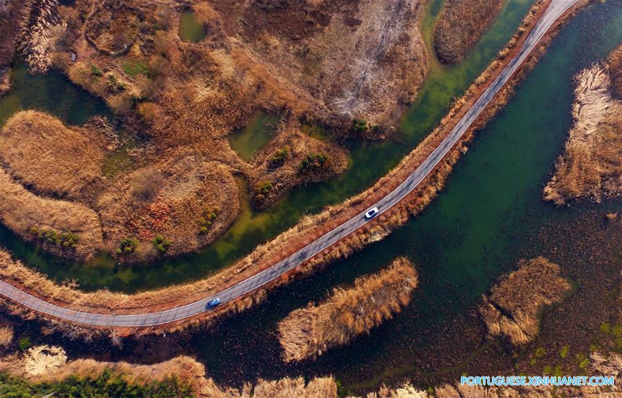 Cenário da zona úmida em um parque na província de Shandong