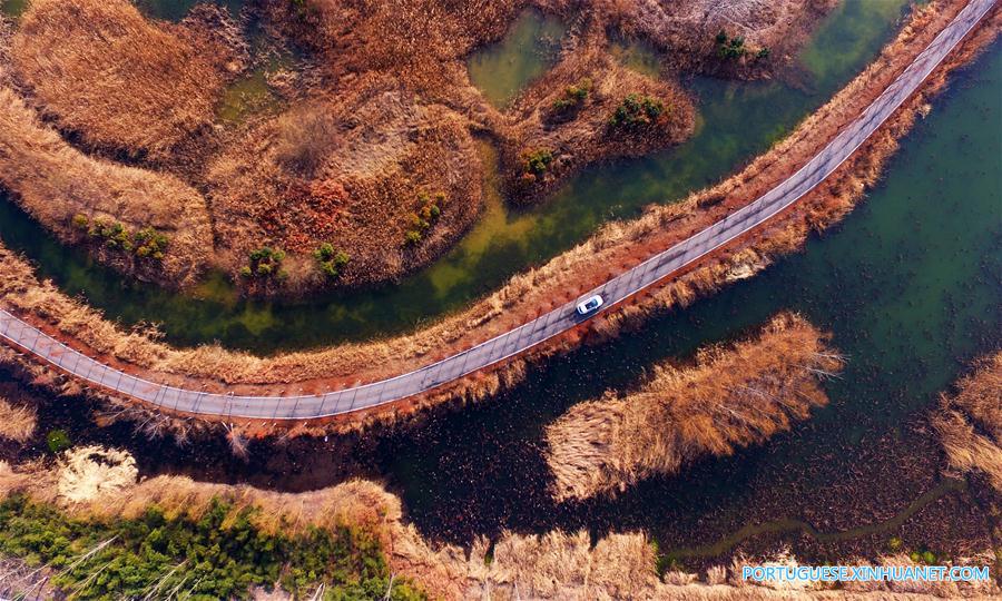 Cenário da zona úmida em um parque na província de Shandong