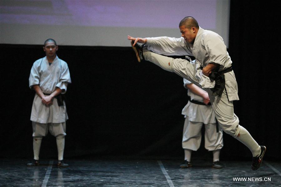 Artes marciais chinesas de Shaolin lotam teatro cipriota em performance única