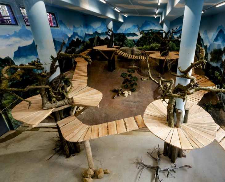 Zoológico holandês constrói habita??o de luxo para pandas gigantes