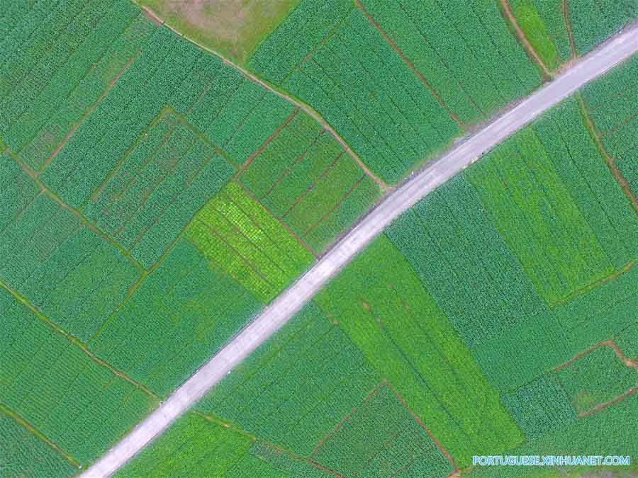 Paisagem da vila de Fangpo na província de Hunan