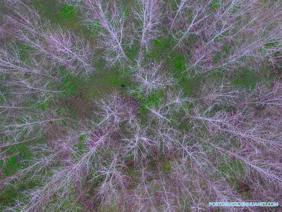 Paisagem da vila de Fangpo na província de Hunan