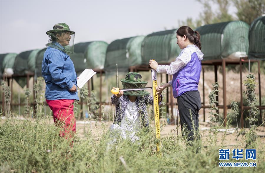 Condi??es adversas do Deserto Taklamakan progressivamente controladas