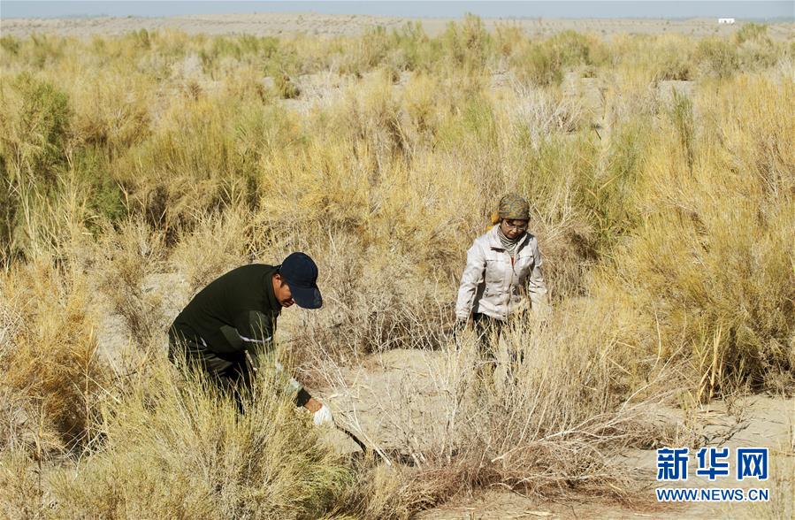 Condi??es adversas do Deserto Taklamakan progressivamente controladas