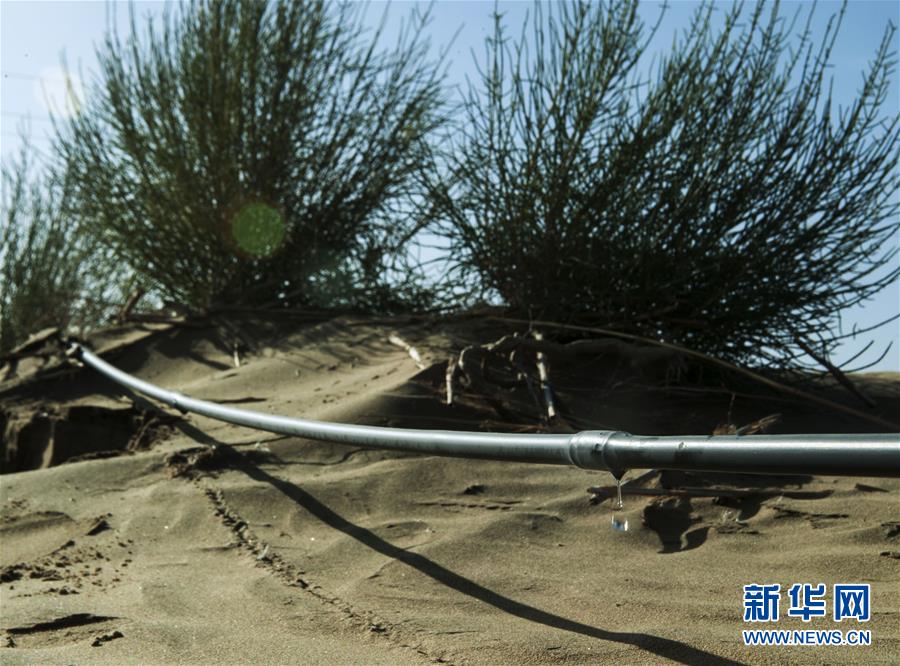 Condi??es adversas do Deserto Taklamakan progressivamente controladas