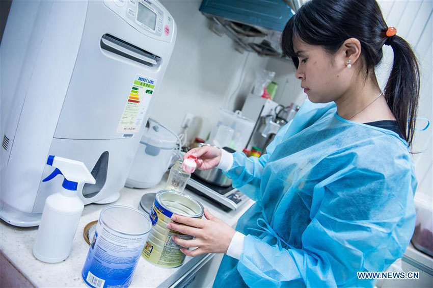 Família de pandas apresentada ao público geral em Macau