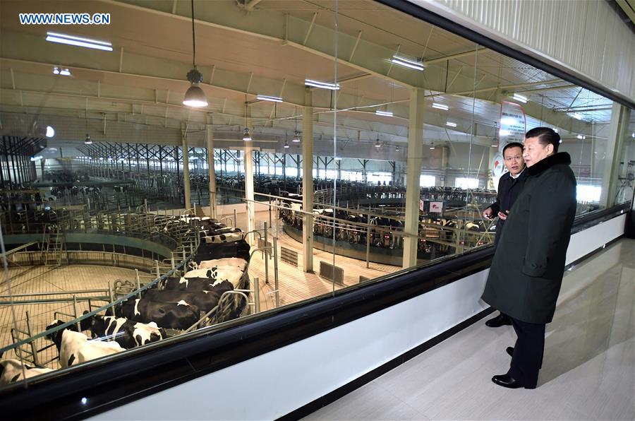 Presidente chinês enfatiza precis?o no alívio da pobreza