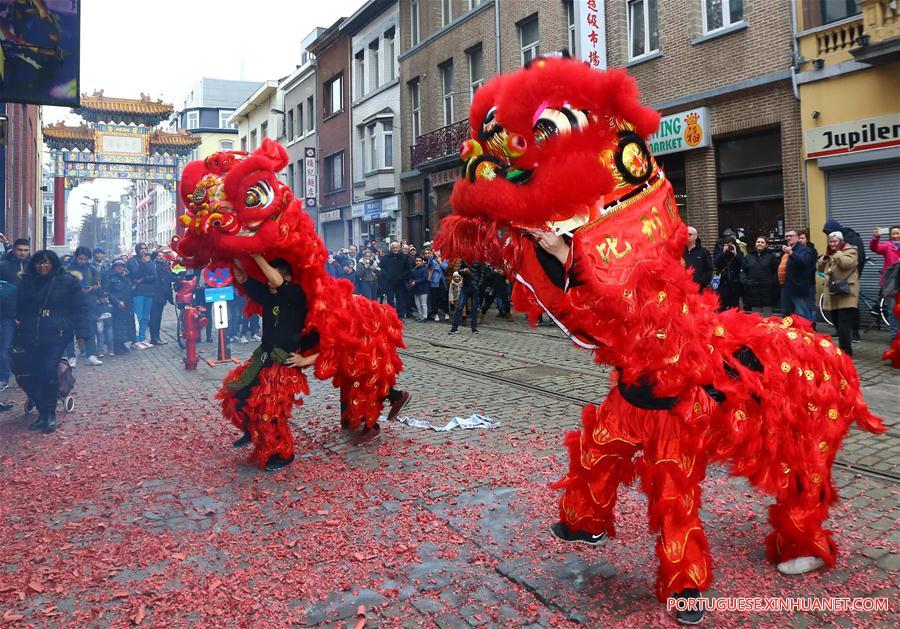 Dan?a do le?o é realizada na Bélgica para celebrar o Ano-Novo Lunar chinês