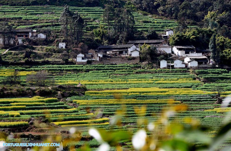 Imagens da Vila de Cuihua em Yunnan