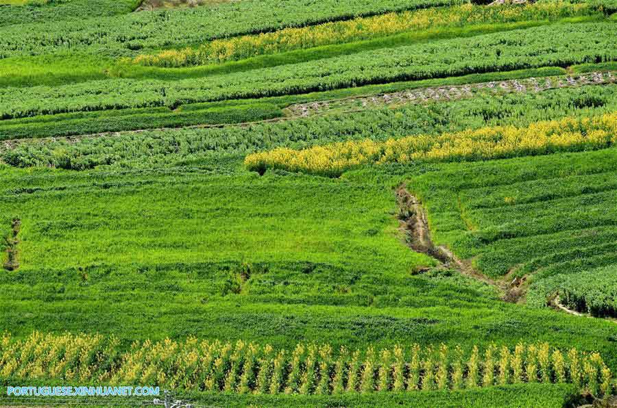 Imagens da Vila de Cuihua em Yunnan