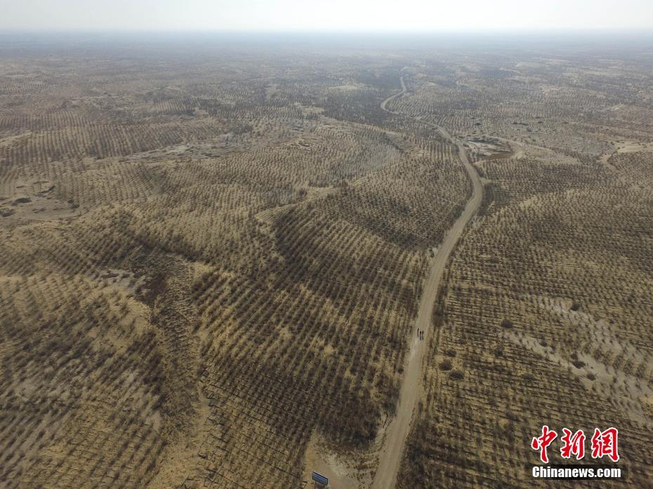 Galeria: Minqin, o ber?o das tempestades de areia da China