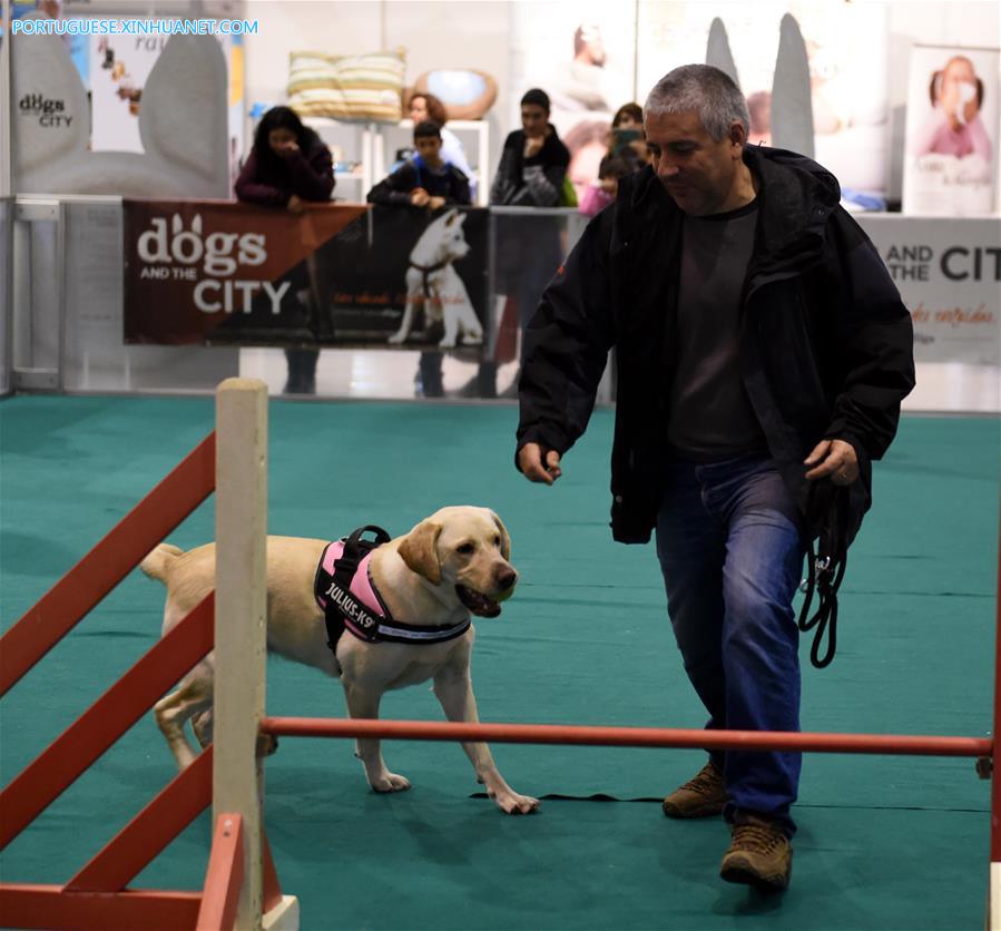 Sal?o de Animais de Estima??o 2017 é realizado em Lisboa