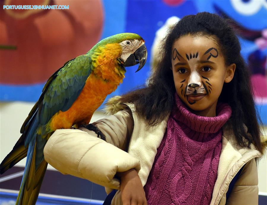 Sal?o de Animais de Estima??o 2017 é realizado em Lisboa