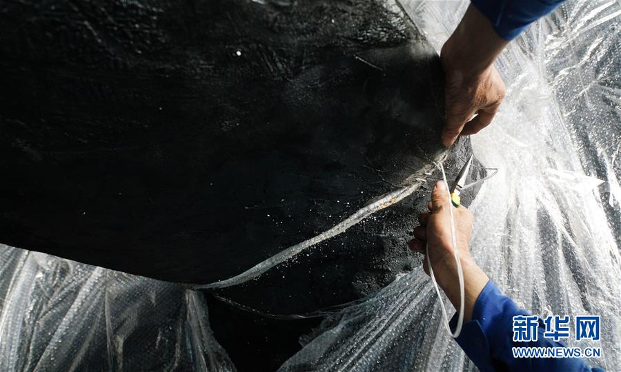 Cachalote embalsamado em exposi??o na praia de Sanmin, província de Jiangsu