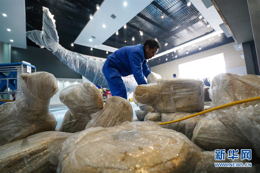 Cachalote embalsamado em exposi??o na praia de Sanmin, província de Jiangsu