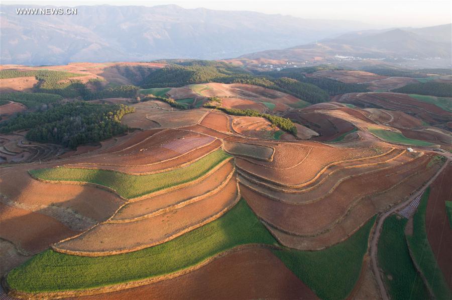 Panorama dos terra?os de solo vermelho no sudoeste da China