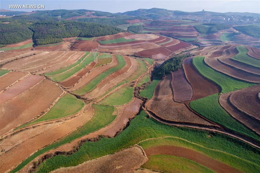 Panorama dos terra?os de solo vermelho no sudoeste da China